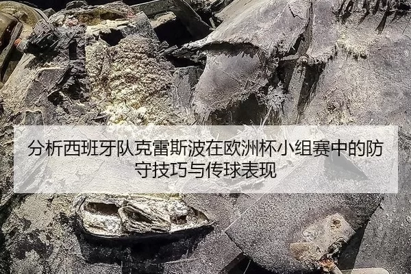 分析西班牙队克雷斯波在欧洲杯小组赛中的防守技巧与传球表现